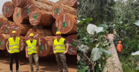 Visite fournisseurs au Congo
