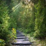 chemin de randonnée
